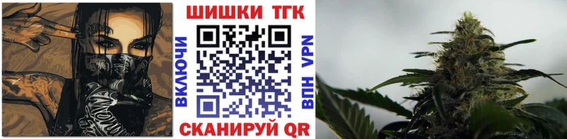 Каннабис семена  сайты даркнета состав  Алагир 